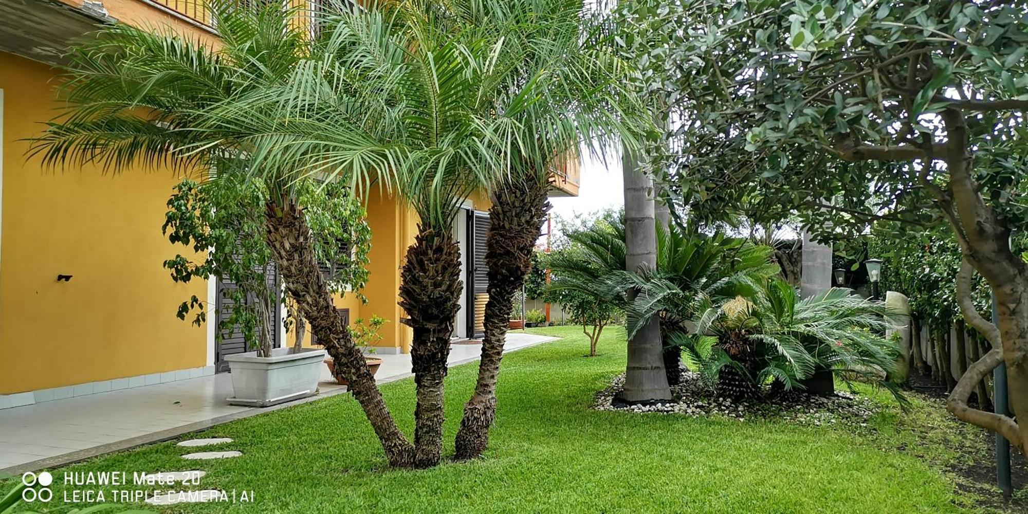 Maresole Tra L'Etna E Taormina Apartment Mascali Exterior photo